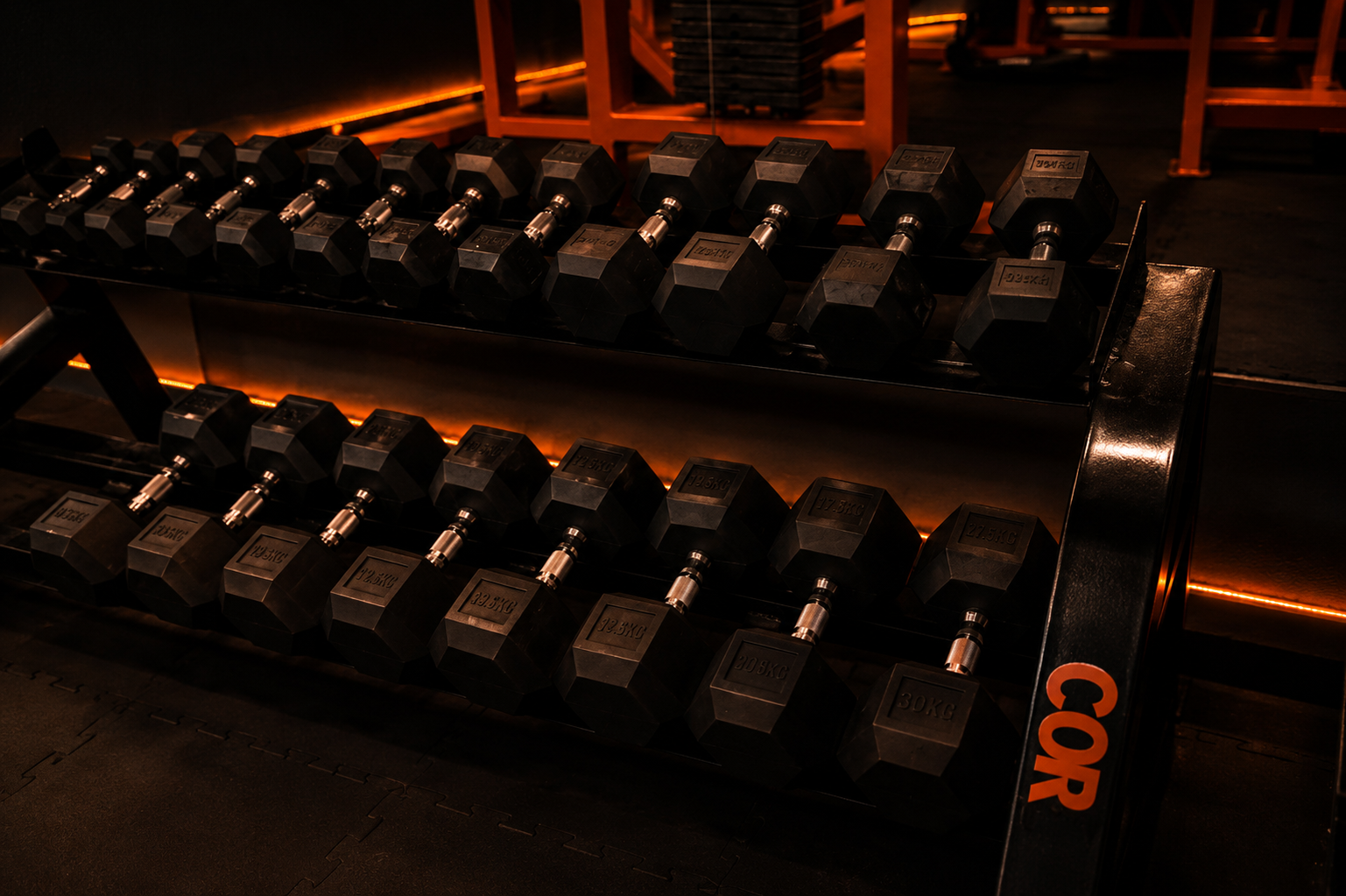 Zona de musculación Xalapa
