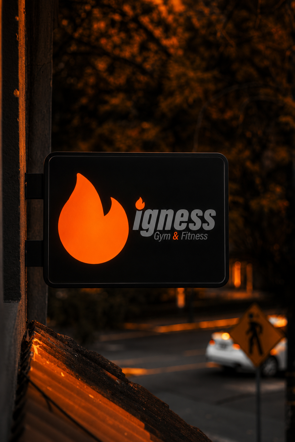 Interior de IGNESS GYM en Xalapa Veracruz - equipamiento de musculación